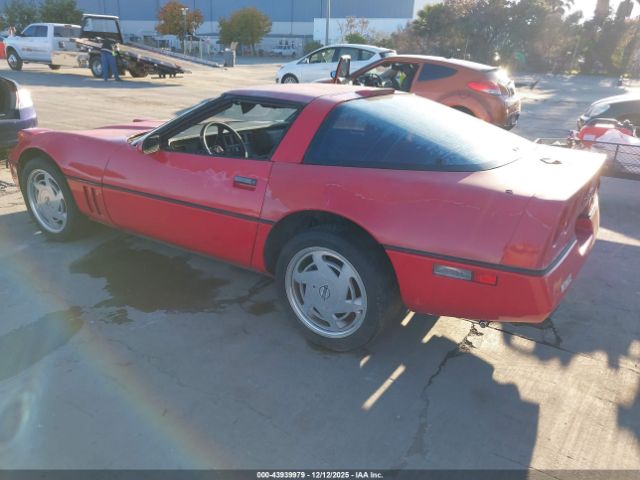 1989 CHEVROLET CORVETTE 1G1YY2186K5120430 Photo 2