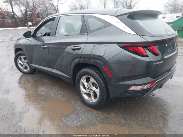 2023 HYUNDAI TUCSON 5NMJACAEXPH207020 Photo 2