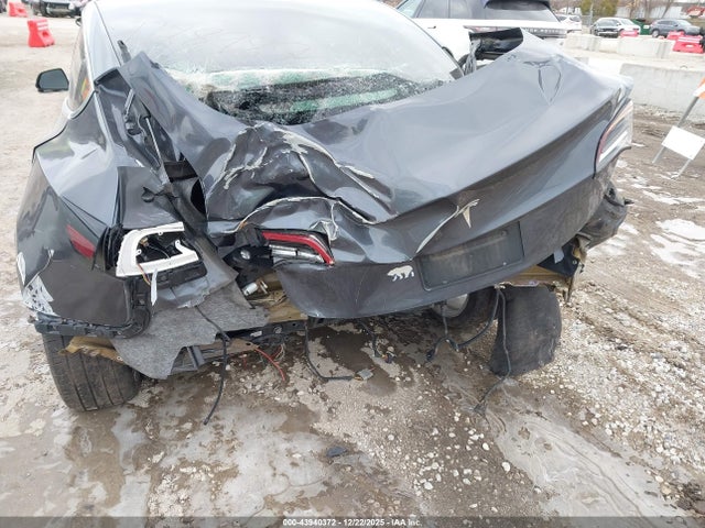 2019 TESLA MODEL 3 5YJ3E1EA5KF308176 Photo 5