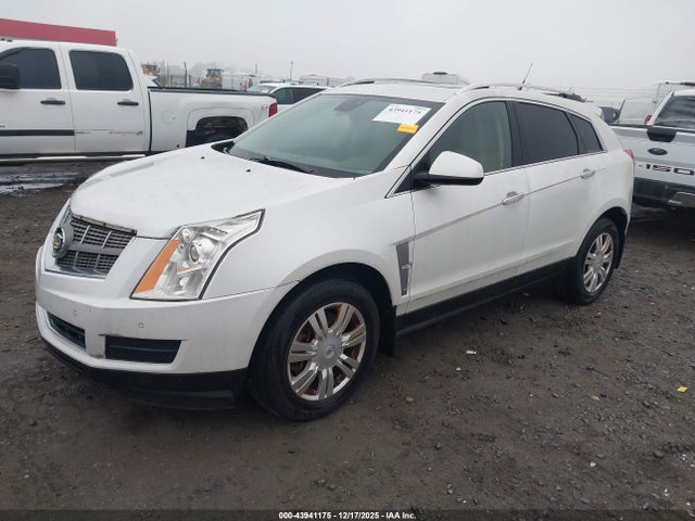 2010 CADILLAC SRX 3GYFNAEY1AS633174 Photo 1