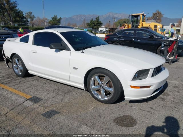 2006 FORD MUSTANG 1ZVHT82H965182527