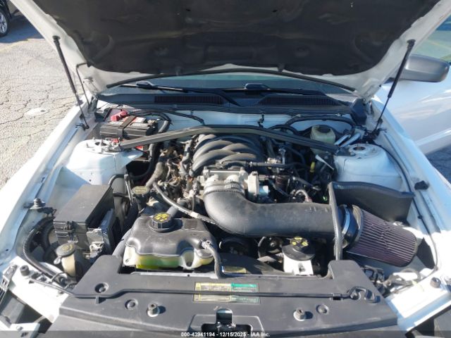 2006 FORD MUSTANG 1ZVHT82H965182527 Photo 9