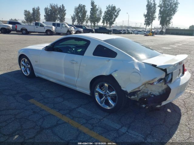 2006 FORD MUSTANG 1ZVHT82H965182527 Photo 2