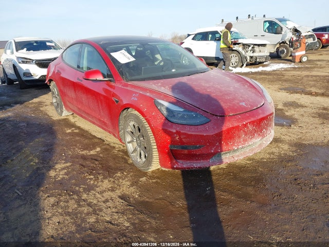 2023 TESLA MODEL 3 5YJ3E1EA5PF517005 Photo 0