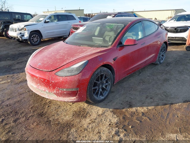 2023 TESLA MODEL 3 5YJ3E1EA5PF517005 Photo 1