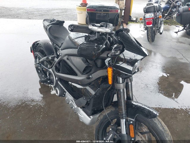 2020 HARLEY-DAVIDSON ELW 1HD2XAEB4LB801235