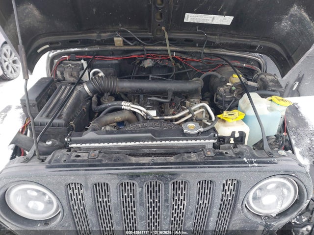 2002 JEEP WRANGLER 1J4FA49S02P704819 Photo 9