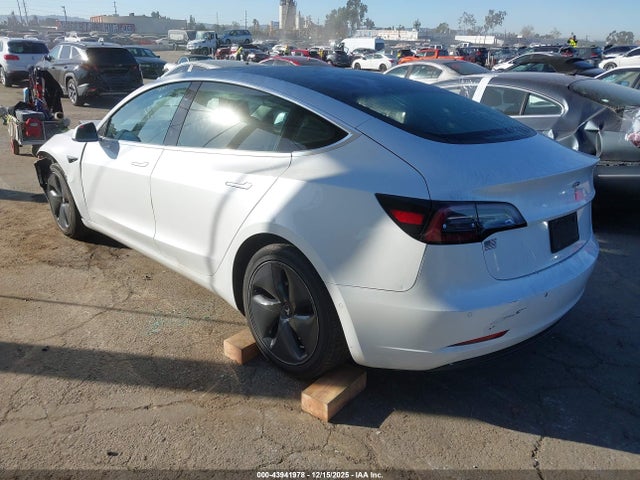 Продаж на аукціоні авто 2020 Tesla Model 3 Standard Range Plus Rear-wheel Drive/standard Range Rear-wheel Drive, vin: 5YJ3E1EA3LF804174, номер лоту: 43941978