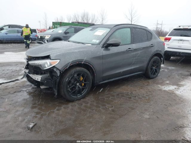 2019 ALFA ROMEO STELVIO ZASPAJAN8K7C71501 Photo 1