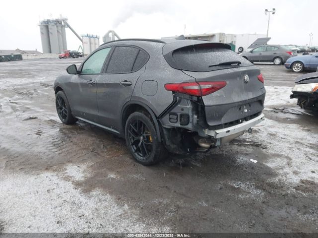 2019 ALFA ROMEO STELVIO ZASPAJAN8K7C71501 Photo 2