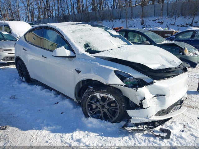 2025 TESLA MODEL Y 7SAYGDED1SF259833 Photo 0