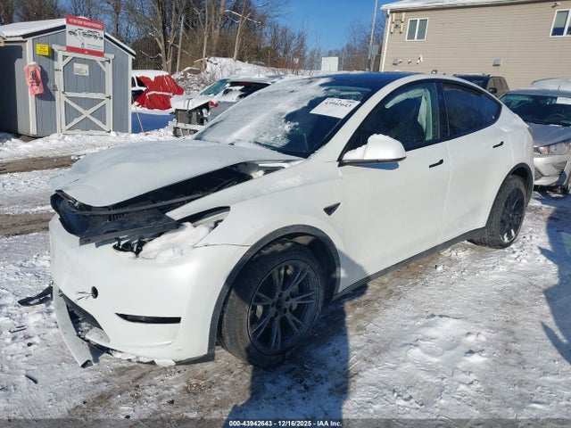 2025 TESLA MODEL Y 7SAYGDED1SF259833 Photo 1
