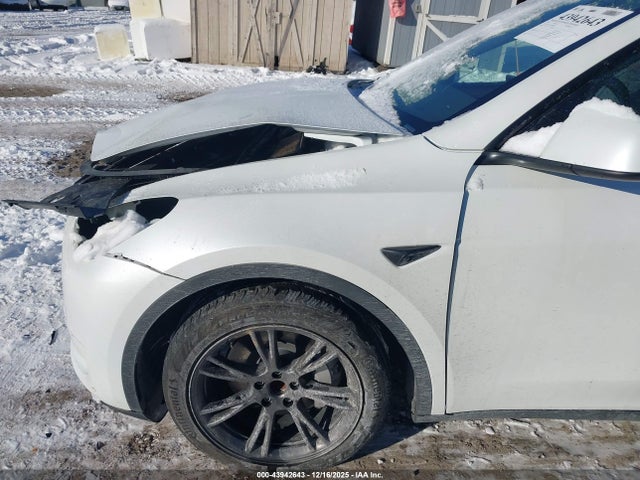 2025 TESLA MODEL Y 7SAYGDED1SF259833 Photo 5