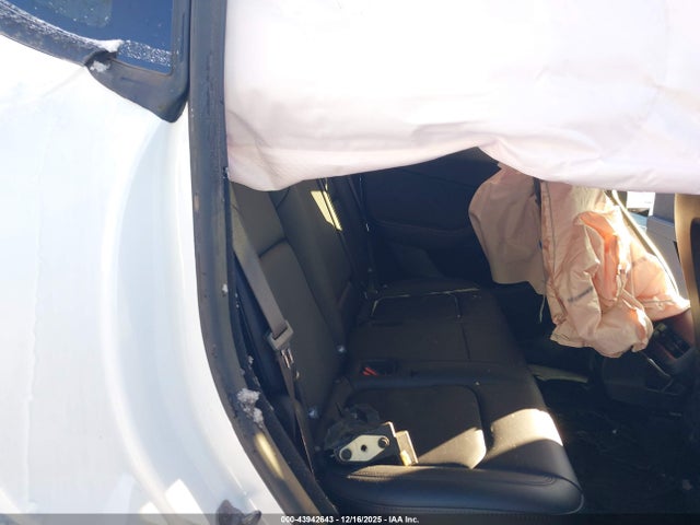 2025 TESLA MODEL Y 7SAYGDED1SF259833 Photo 7