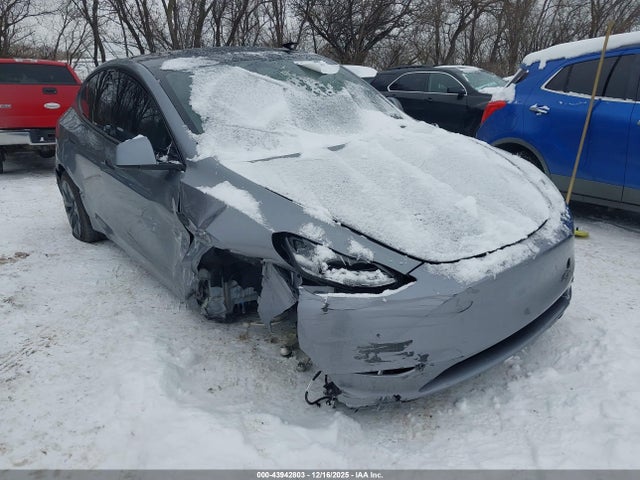 2025 TESLA MODEL Y 7SAYGDEE5SF293718 Photo 0