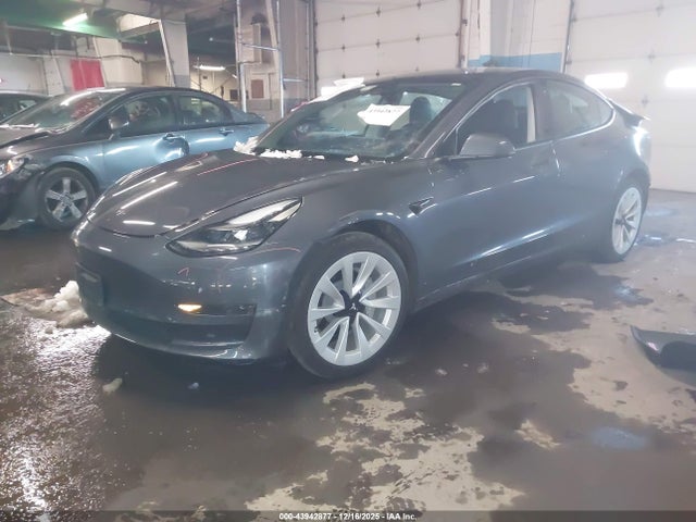 2023 TESLA MODEL 3 5YJ3E1EAXPF679096 Photo 1