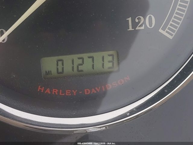 2010 HARLEY-DAVIDSON FLSTFB 1HD1JN519AB046110 Photo 6