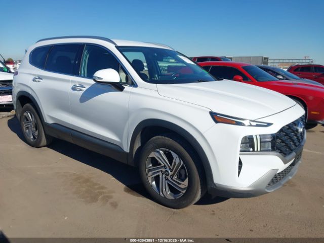 2023 HYUNDAI SANTA FE 5NMS24AJ6PH562402