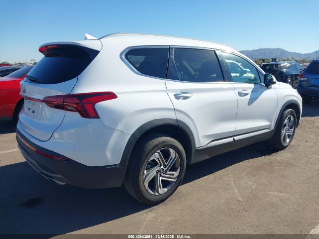 2023 HYUNDAI SANTA FE 5NMS24AJ6PH562402 Photo 3