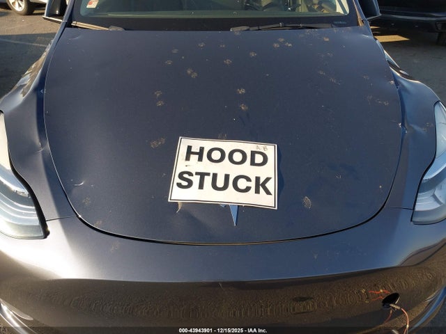 2023 TESLA MODEL Y 7SAYGDEE6PA039892 Photo 9