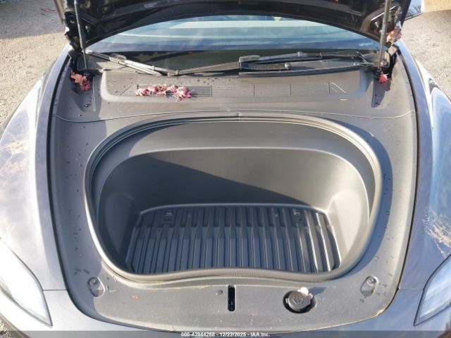 2025 TESLA MODEL 3 5YJ3E1EA1SF057849 Photo 9