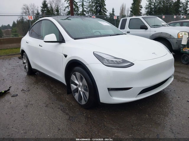 2021 TESLA MODEL Y 5YJYGAEE0MF214146 Photo 0