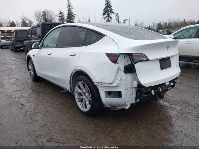 2021 TESLA MODEL Y 5YJYGAEE0MF214146 Photo 2