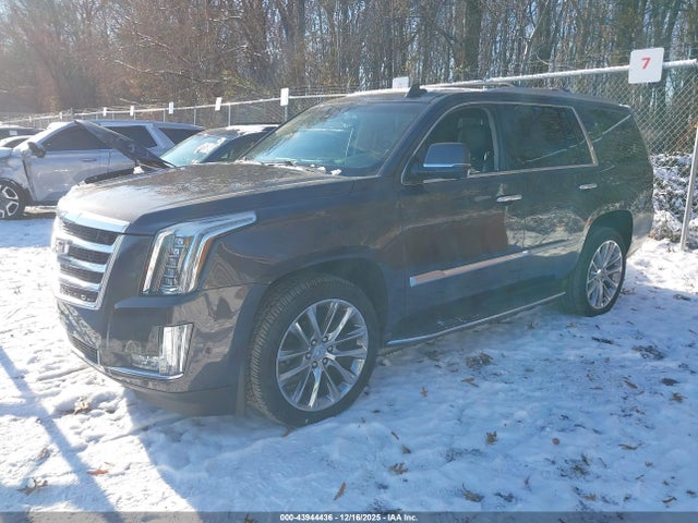 2017 CADILLAC ESCALADE 1GYS4BKJ2HR204816 Photo 1