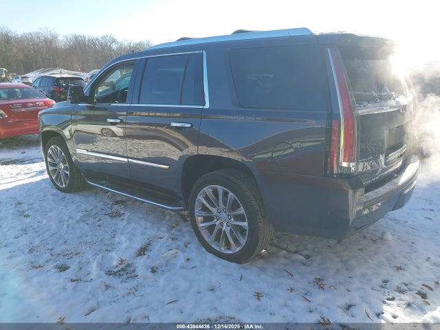 2017 CADILLAC ESCALADE 1GYS4BKJ2HR204816 Photo 2