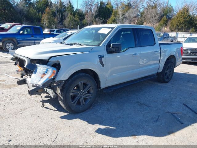 2023 FORD F-150 1FTEW1CP5PKD01445 Photo 1