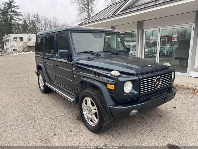 2002 MERCEDES-BENZ G 500 WDCYR49E42X130916
