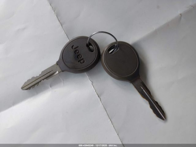 2003 JEEP WRANGLER 1J4FA59S73P326036 Photo 10