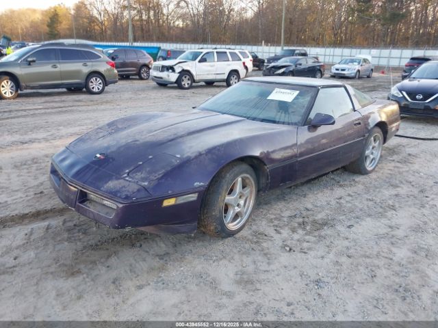 1984 CHEVROLET CORVETTE 1G1AY078XE5113885 Photo 1