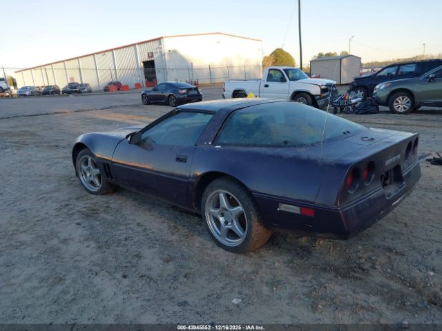 1984 CHEVROLET CORVETTE 1G1AY078XE5113885 Photo 2