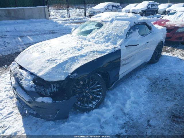 2020 FORD MUSTANG 1FATP8FFXL5141366 Photo 1