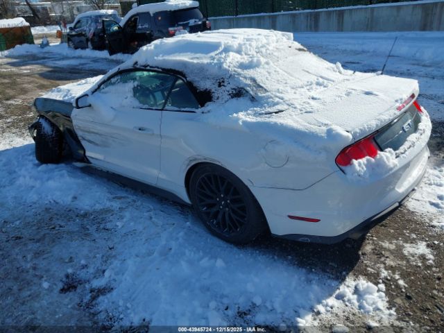 2020 FORD MUSTANG 1FATP8FFXL5141366 Photo 2