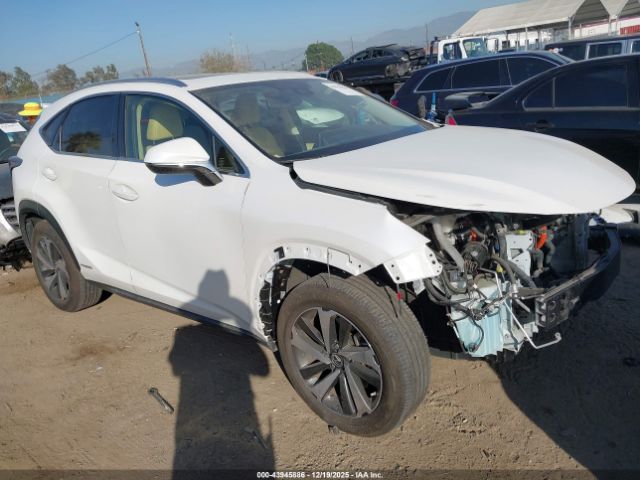 2021 LEXUS NX 300H JTJGJRDZ4M5014515 Photo 0
