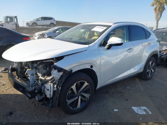 2021 LEXUS NX 300H JTJGJRDZ4M5014515 Photo 1