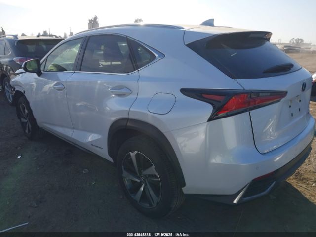2021 LEXUS NX 300H JTJGJRDZ4M5014515 Photo 2
