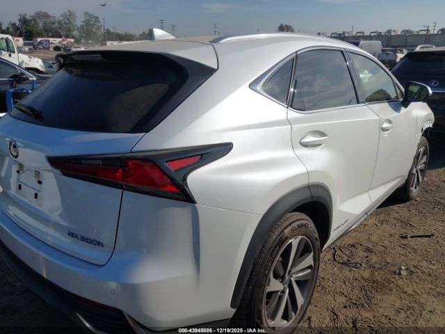 2021 LEXUS NX 300H JTJGJRDZ4M5014515 Photo 3