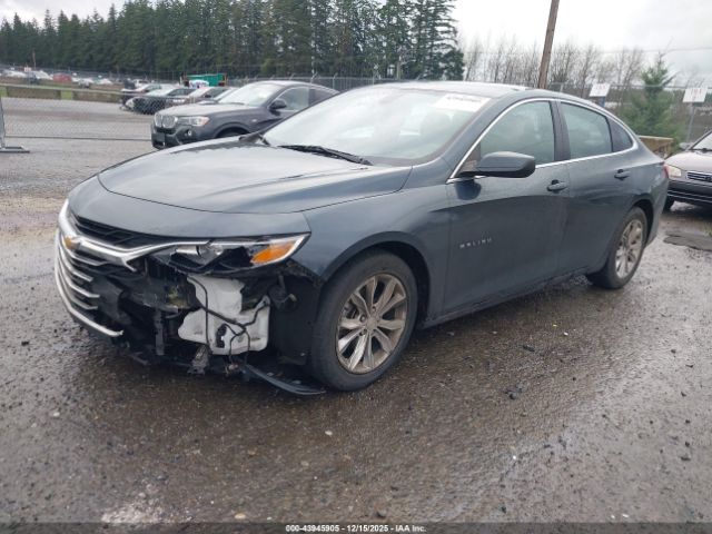 2019 CHEVROLET MALIBU 1G1ZD5ST4KF211131 Photo 1