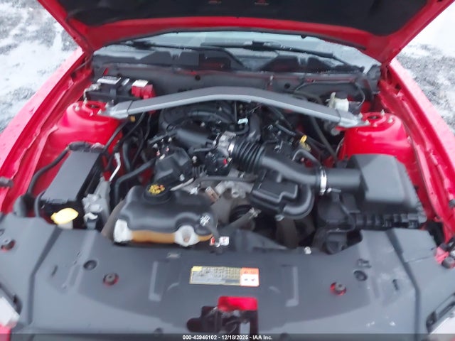 1ZVBP8EM3E5310424 Ford Mustang V6