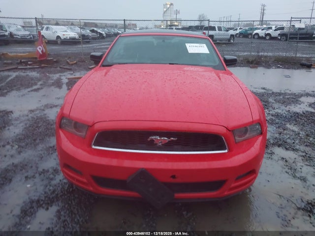 1ZVBP8EM3E5310424 Ford Mustang V6