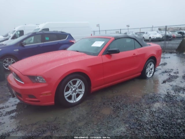 1ZVBP8EM3E5310424 Ford Mustang V6
