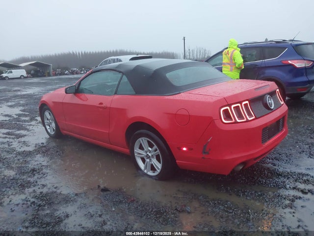 1ZVBP8EM3E5310424 Ford Mustang V6