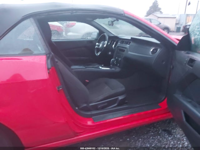 1ZVBP8EM3E5310424 Ford Mustang V6