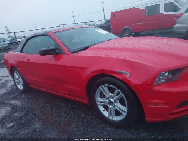1ZVBP8EM3E5310424 Ford Mustang V6