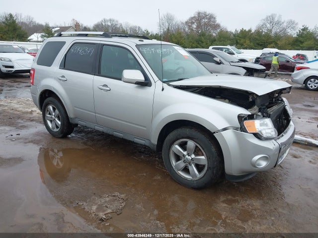 Продаж на аукціоні авто 2010 Ford Escape Limited, vin: 1FMCU9EG6AKC66670, номер лоту: 43946349