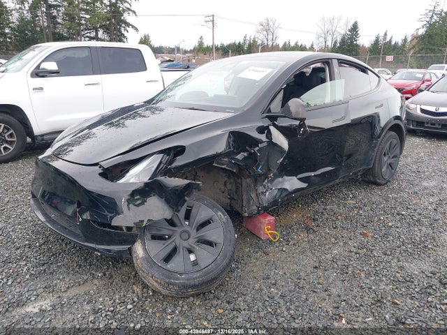 2025 TESLA MODEL Y 7SAYGAEE3SF240806 Photo 1