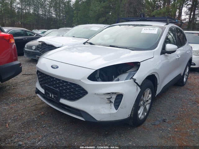Продаж на аукціоні авто 2020 Ford Escape Se, vin: 1FMCU0G69LUB73925, номер лоту: 43946693
